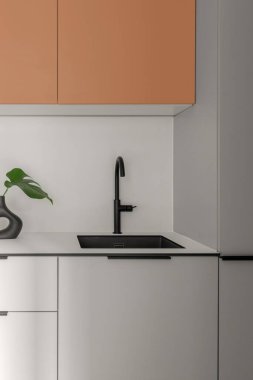 Modern tarz İskandinav mutfağı gri ve terakotta tonları siyah lavabo, siyah vazo. 
