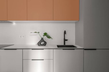 Modern tarz İskandinav mutfağı gri ve terakotta tonları siyah lavabo, siyah vazo. 