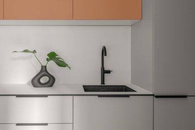 Modern tarz İskandinav mutfağı gri ve terakotta tonları siyah lavabo, siyah vazo. 