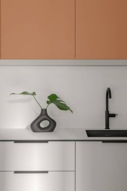 Modern tarz İskandinav mutfağı gri ve terakotta tonları siyah lavabo, siyah vazo. 