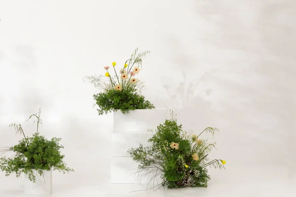 Early Spring Floral Arrangement Bouquet Fresh Flowers White Wall Concept — Stock Photo, Image