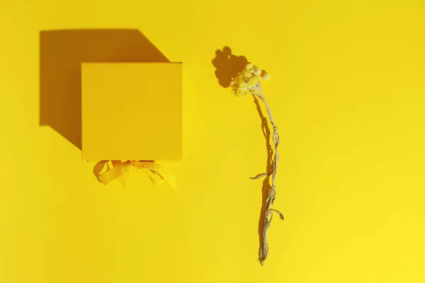 Φωτεινό Κίτρινο Κουτί Δώρου Κορδέλα Φιόγκο Και Κίτρινα Λουλούδια Από — Φωτογραφία Αρχείου