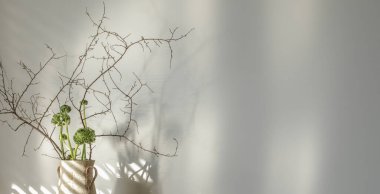 Çiçekli kiraz dalları ve beyaz duvara karşı kil dokulu vazoda yeşil düğün çiçekleri. Bahar iç dekorasyon konsepti