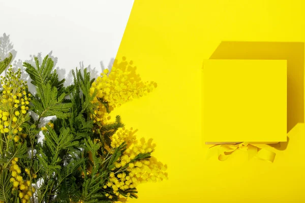 Bright Yellow Gift Box Ribbon Bow Mimosa Yellow White Background — Stock Photo, Image