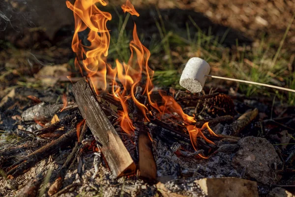 Eibisch Spieß Über Dem Lagerfeuer Wald Braten Das Konzept Abenteuer — Stockfoto