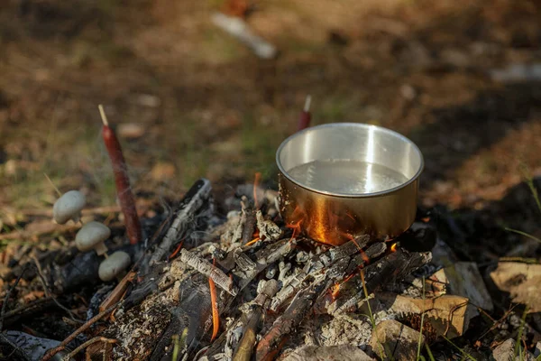 Cooking food in pot on campfire