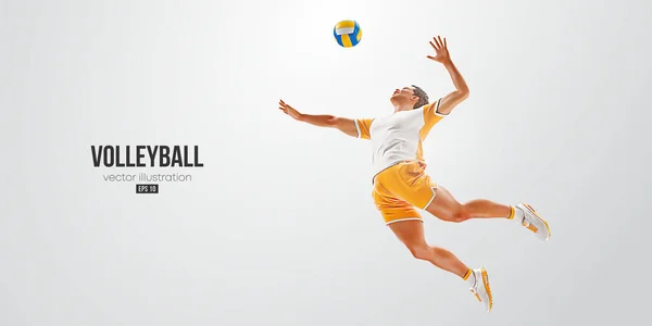 Realistic Silhouette Volleyball Player White Background Volleyball Player Man Hits — Image vectorielle