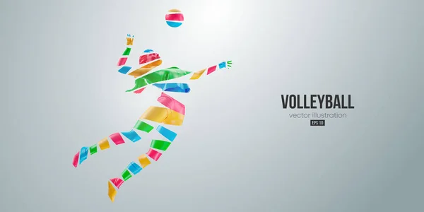 Realistic Silhouette Volleyball Player White Background Volleyball Player Man Hits — Vettoriale Stock