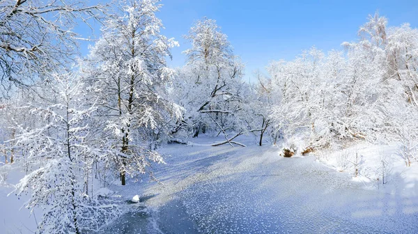 Ormanda donmuş bir nehir, her yer karla kaplı..