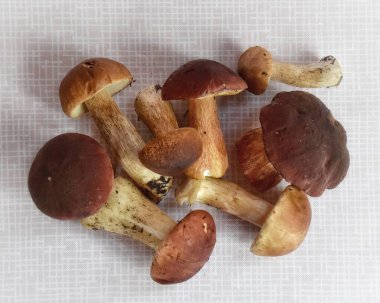 Masada yenilebilir mantarlar var.. 