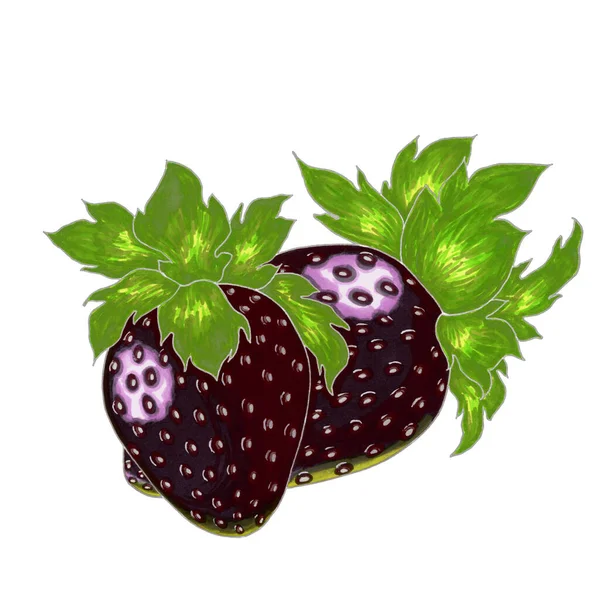 Zwei Schwarze Erdbeeren Auf Weißem Hintergrund — Stockfoto