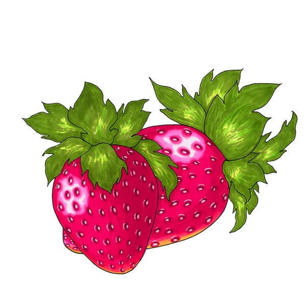 Twee Koraalkleurige Aardbeien Een Witte Achtergrond — Stockfoto