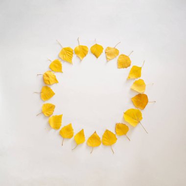 Sarı sonbahar izinleriyle fotokopi çemberi. Mevsim düzlüğü beyaz bir zemin üzerinde uzanıyordu. Şükran Günü tatil tasarımı.