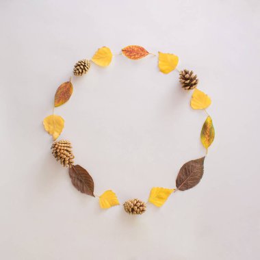 Sarı turuncu sonbahar yaprakları ve çam kozalaklarıyla fotokopi çemberi. Mevsim düz beyaz bir zemin üzerinde yatıyordu. Şükran Günü tatil tasarımı.