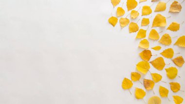 Sarı sonbahar izinleriyle fotokopi alanı. Ekim ve Kasım titreşimleri. Mevsim bembeyaz bir zemin üzerinde yatıyordu. Şükran Günü tatil tasarımı.