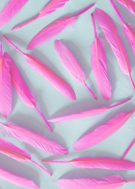 Yumuşak, pembe tüyler yumuşak, pastel, mavi arka planda. Sevgililer günü kartı estetiği. Aşk konsepti.
