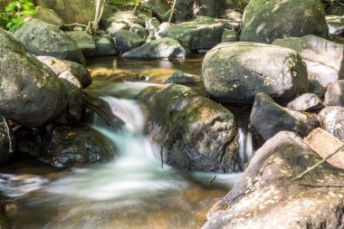 Ormandaki bir nehrin akan suları. Bulanık hareket, uzun pozlama.