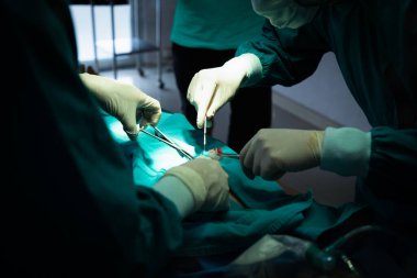 Profesyonel anestezi uzmanı doktor ve asistan hastayı ameliyat ekipmanlarıyla ameliyata hazırlıyor..