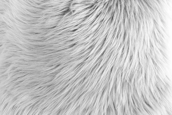 Abstract fur skin pattern white background.