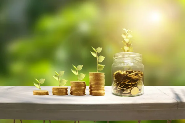 Plant Growing Investment Retirement Education Concept — Foto Stock