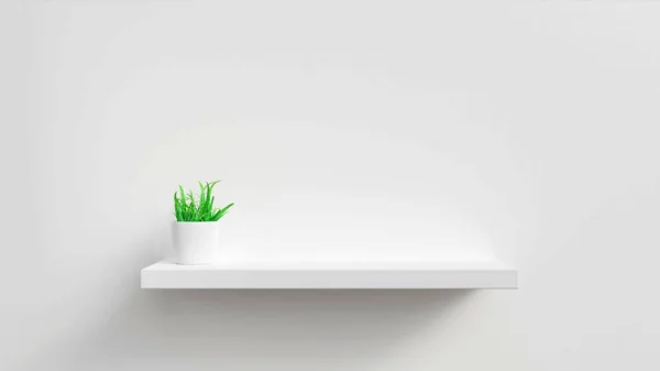 3D illustration. Empty white shop shelf, retail shelf with pot plant on white background.