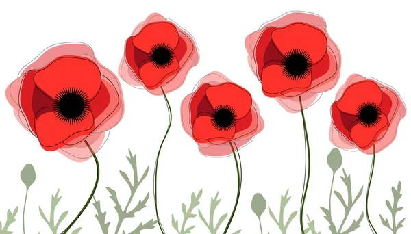 Fleurs Pavot Fond Rouge Fleur Fleurs Base Plantes — Image vectorielle