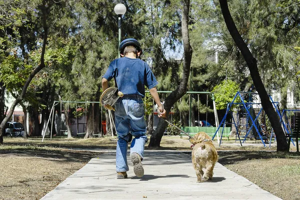 Oğlan ve evcil hayvanı parkta kaykayıyla oynuyorlar.