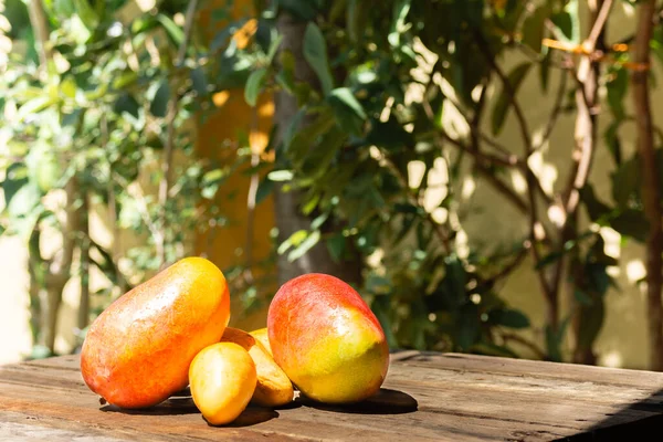 Tropické Ovoce Šťavnatou Sladkokyselou Dužninou Mango — Stock fotografie