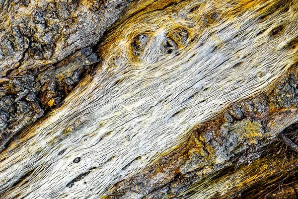 Doku, ahşap üzerindeki zamanın izleri.