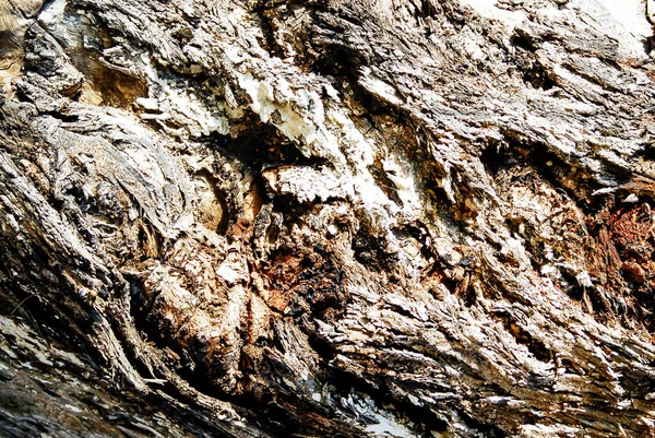 Текстура Сліди Часу Дереві — стокове фото