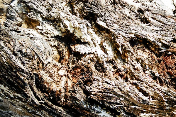 Textura Traço Tempo Madeira — Fotografia de Stock