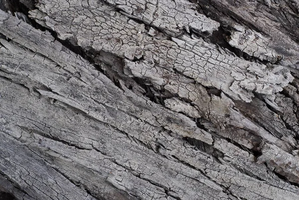 Textura Traço Tempo Madeira — Fotografia de Stock