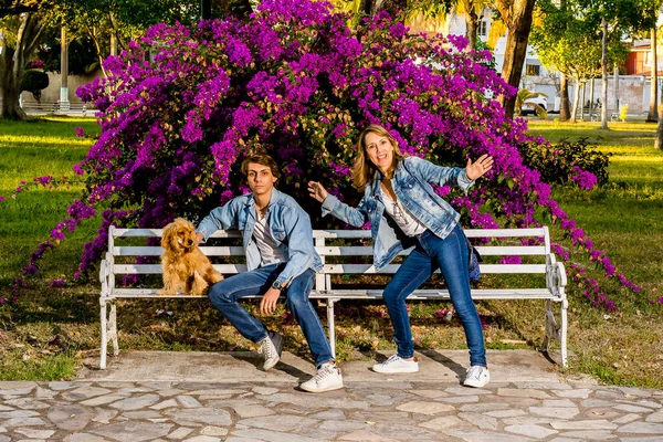 Parkta güzel bir günde aile eğlencesi zamanı.