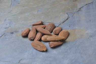 Freshly picked almonds from the tree photographed in study on a slate stone slab. 