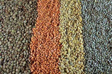 Varied lentils,mixed in the studio table.with diferents colours.