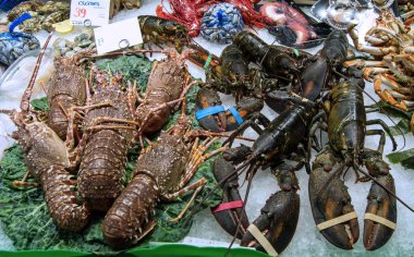 Pazar yerinde ıstakoz yenir..