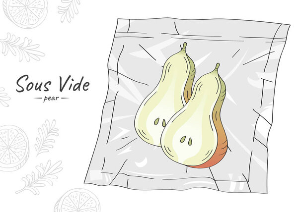 Vector hand drawn sketch illustration of half a pears. Sous-Vide Slow Cooking Technology.
