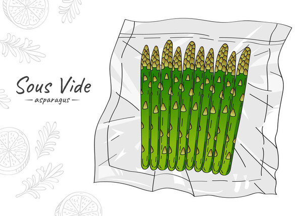 Vector hand drawn sketch illustration of asparagus bunch. Sous-Vide Slow Cooking Technology.