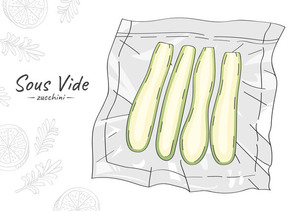 Vector hand drawn sketch illustration of zucchini slices. Sous-Vide Slow Cooking Technology.
