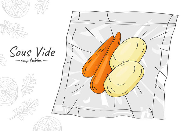 Vector hand drawn sketch illustration of potatoes and carrots. Sous-Vide Slow Cooking Technology.