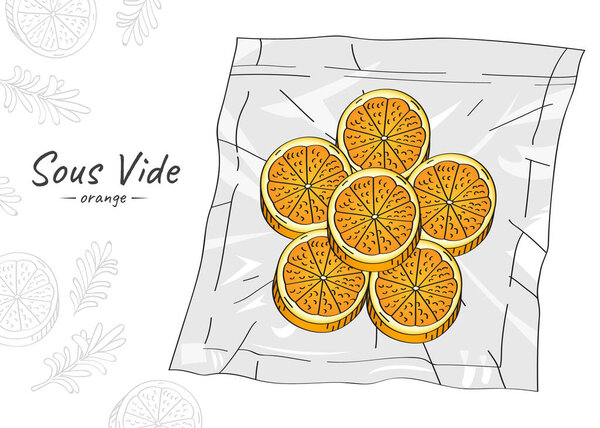 Vector hand drawn sketch illustration of orange slices. Sous-Vide Slow Cooking Technology.