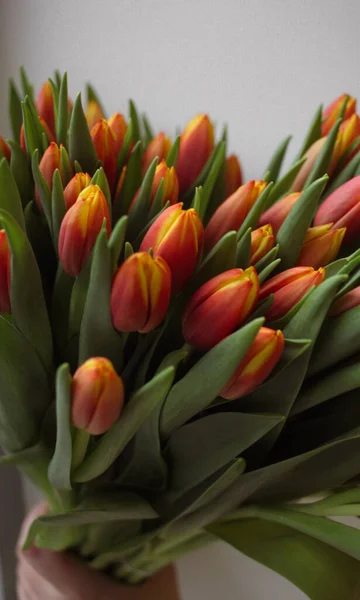 Bouquet of tulips.  Tulips as a gift.  Plants, flowers, botany. 