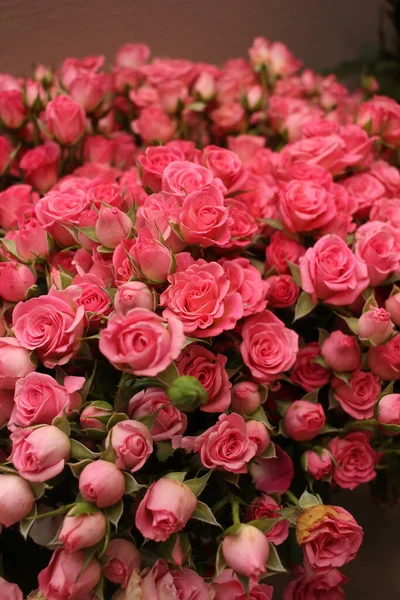 Pink tea rose.  Bouquet of roses. Pink color.  A gift for a girl