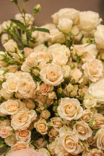 White tea rose.  Bouquet of roses.  Milky color.  A gift for a girl. 