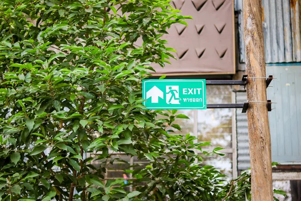 Exit Sign Wooden Pole — Stockfoto