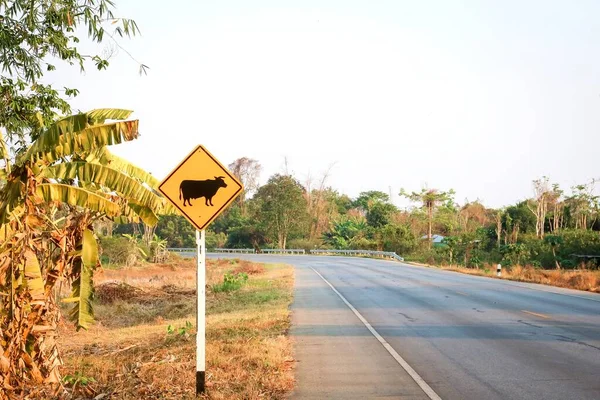 Cattle Crossing Warning Traffic Sign Roadside — Stock Photo, Image