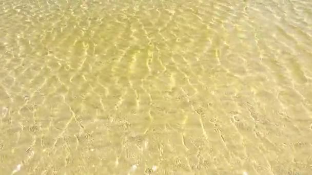 Χρυσαφένιο Κύμα Της Θάλασσας Καθαρό Και Καθαρό Στην Παραλία — Αρχείο Βίντεο