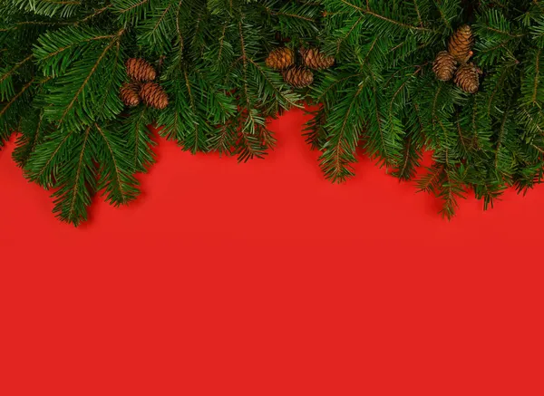 Feche Abeto Verde Fresco Ramos Árvore Natal Pinho Com Cones — Fotografia de Stock