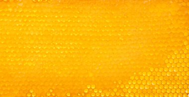 Taze altın tarağı kapat bal arkaplan dokusu, tam çerçeve bal peteği deseni