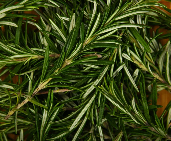 Närbild Bakgrund Färska Gröna Rosmarin Blad Träplatta Förhöjd Ovanifrån Direkt — Stockfoto